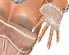  KIM S/S 25 Glove