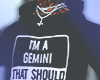 GEMINI  .▼