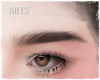 Natural Eyebrows
