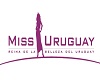 CAE Flag Miss Uruguay