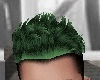 Hairstyle Green
