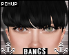⚓ | Ava Bangs Raven
