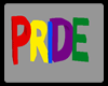 Cd Pride Sign