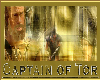 Captain of Tor Sticker