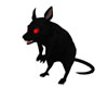 Black Rat Animated