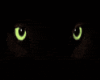 panther eyes yellow