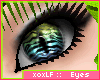 LF« Tora ~ Eyes