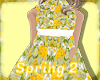|KNO| Spring 2 BbGirl