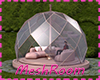 Glass Dome Tent