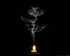 Candle and a Rose
