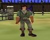 Link Boots