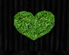 hedge heart