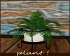 plant on stand