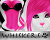 Whiskers :Plinks F kini