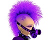 -x- purple toxic mohawk