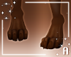 A! Ginger paws M