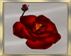 Romantic Floor Roses