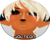 [J] Flareon Skin M