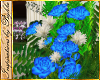I~Blue Rose Bouquet
