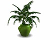 Cannabis Plant II