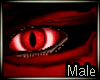 (IS) Red Cat Eye M/F