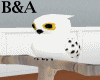 [BA] Snowy Owl