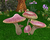 Mystical Fairy Mushroom