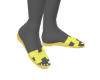 H SLIDES (Y)