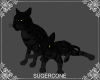 [SC] 2 Black Cats