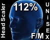 F/M Head Scaler 112%