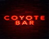 Coyote Ugly Bar (Ga)
