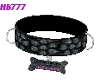 HB777 CSTM Pet Collar GA