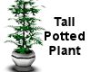 (MR) Tall Potted Plant