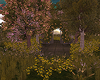 Garden Ambient