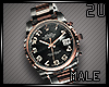 [2u] Titanium Watch