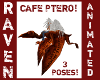 CAFE PTERODACTYL!
