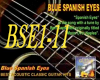 Blue Spanish Eye by Neil