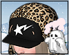 Scarf + Hat F