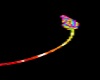 Rainbow - Tail