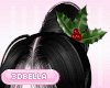 Holly Noir