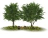 Add Garden