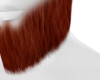 Beard R [3DS]