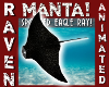 SPOTTED EAGLE MANTA RAY!