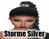 Storme, Silver, Platte