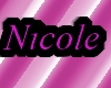 Nicole Knuckle Ring