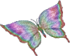 *E4U* Butterfly