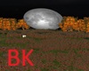 BK> Autumn Fall Field