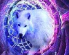 Mles Ripped Wolf Jacket