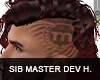 SIB - Master DEV Hairs