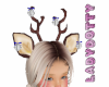 Reindeer antlers